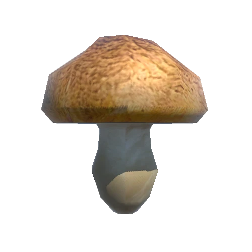 Mushroom_1_1