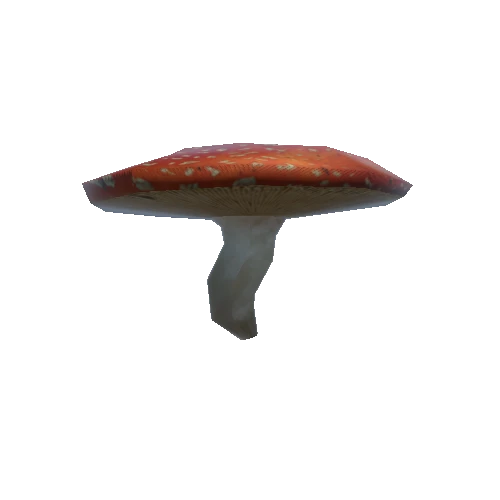 Mushroom_2_0