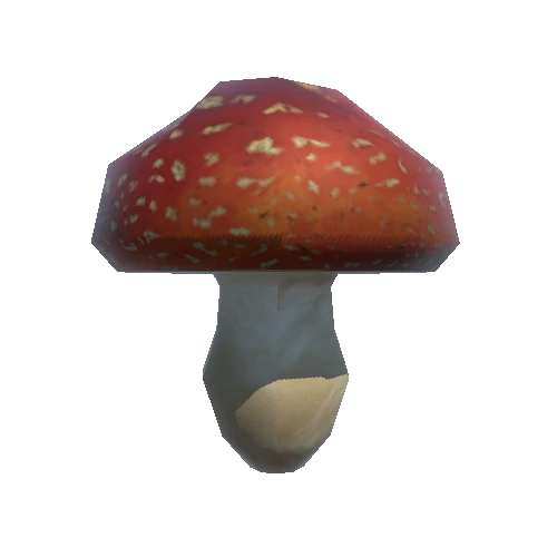 Mushroom_2_1