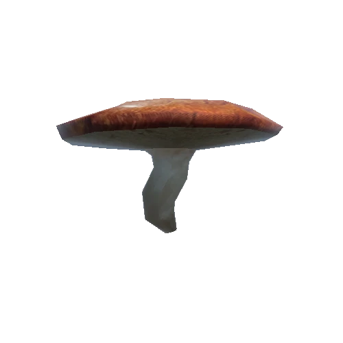 Mushroom_3_0