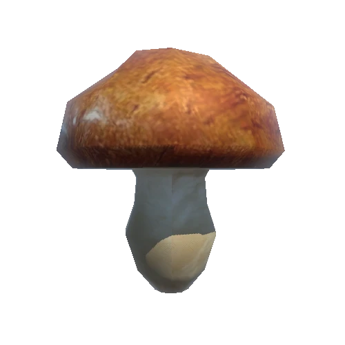 Mushroom_3_1