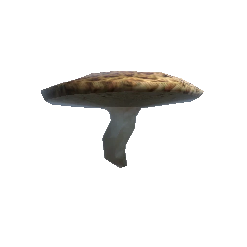 Mushroom_4_0