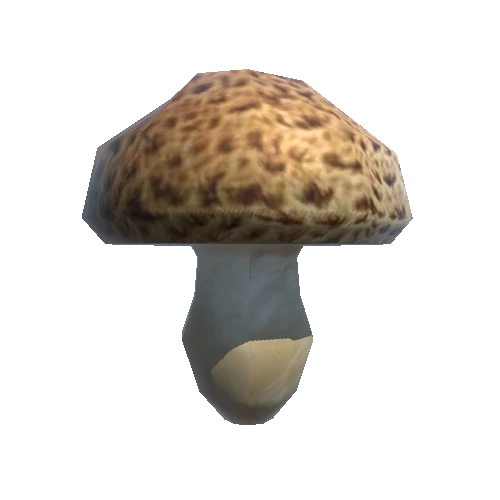 Mushroom_4_1