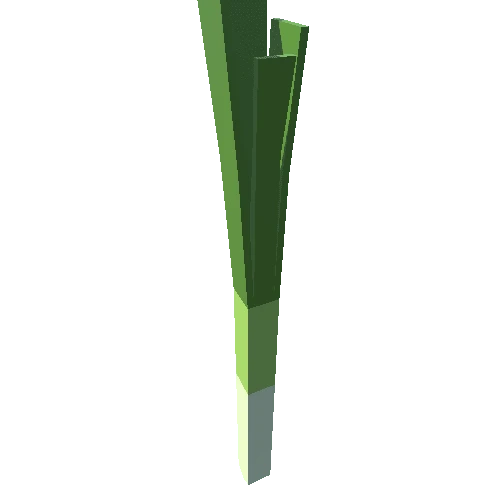 Leek