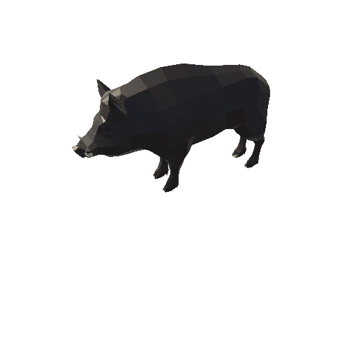 Low_Boar_v01