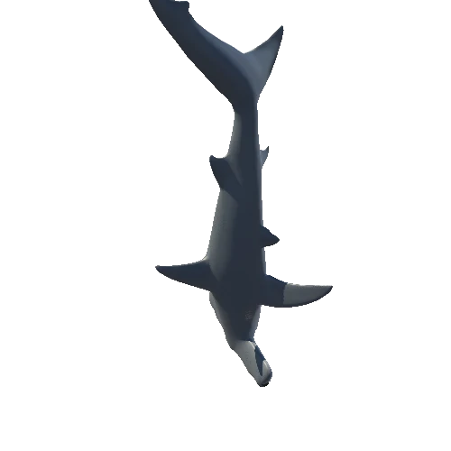 HammerheadShark