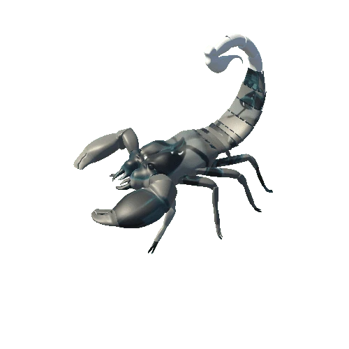 Scorpion_11-17-17_10_post_07