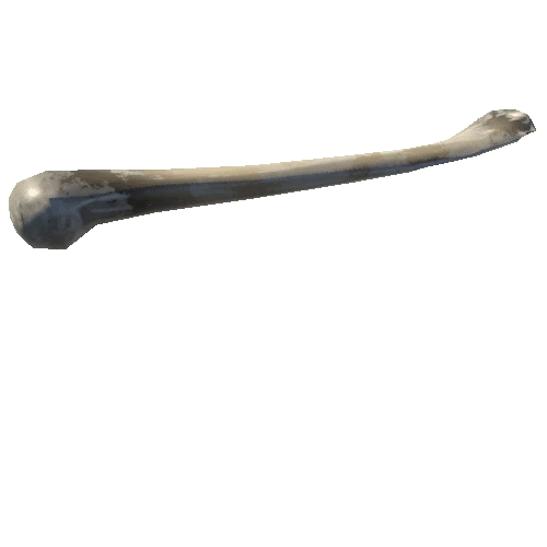 Bone03