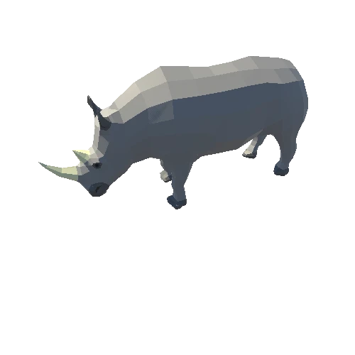 Rhino_poly