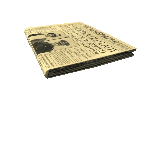 Newspaper