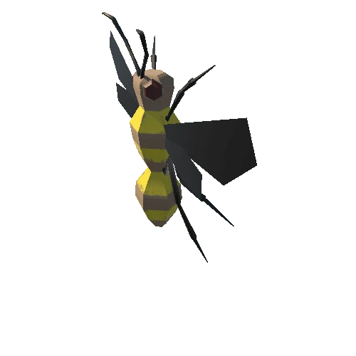 Wasp