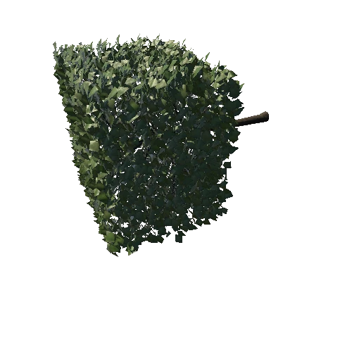 tree_cube