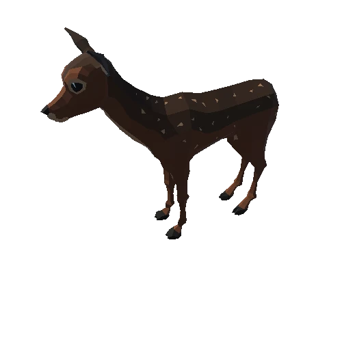 Fawn