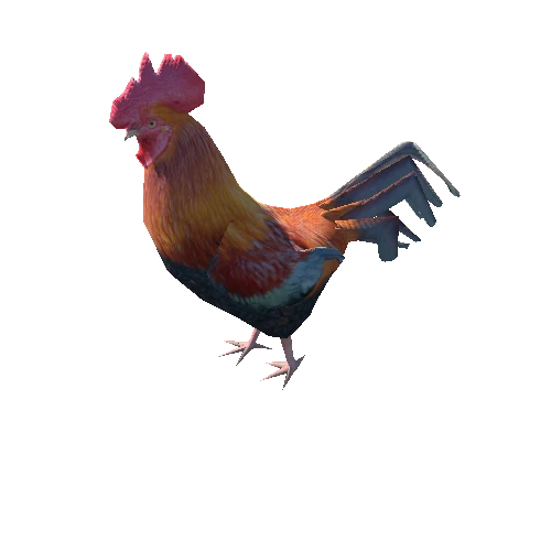 Rooster_low_1