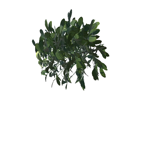 GrowFX_boxwood002