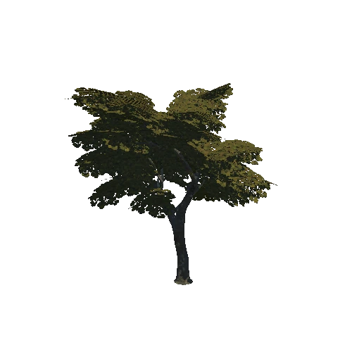 Tree_Large
