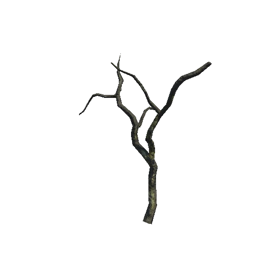 Tree_Small_B