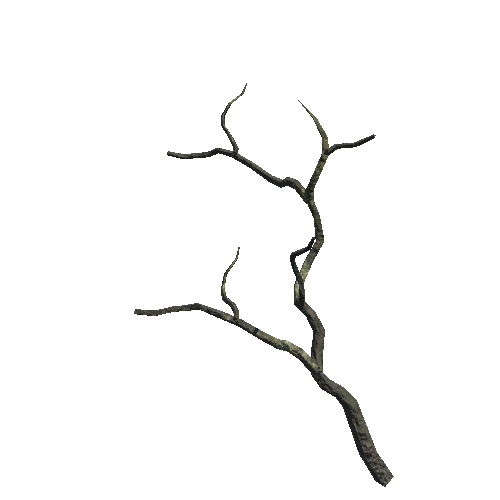 Tree_Small_C