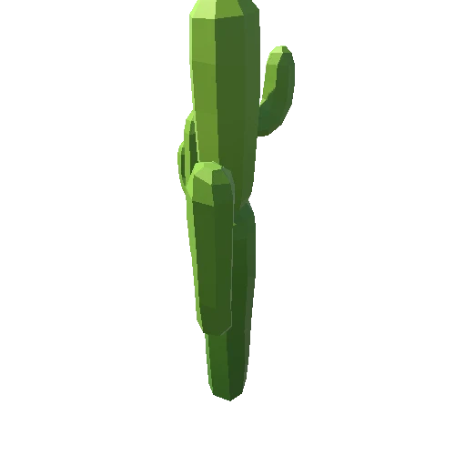 Cactus_A_04