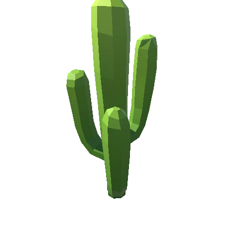 Cactus_A_06