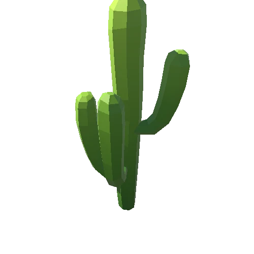 Cactus_A_07