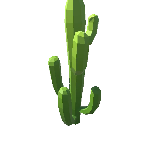 Cactus_A_08