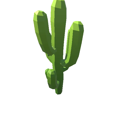 Cactus_A_09