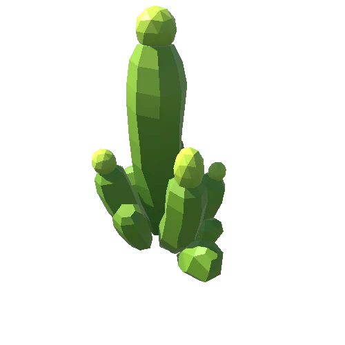 Cactus_A_10