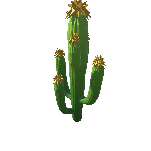 Cactus_B_08