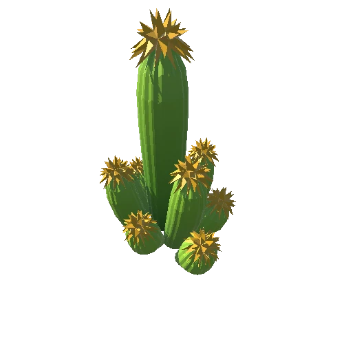 Cactus_B_10