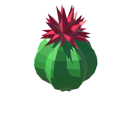 Cactus_Little_A_02