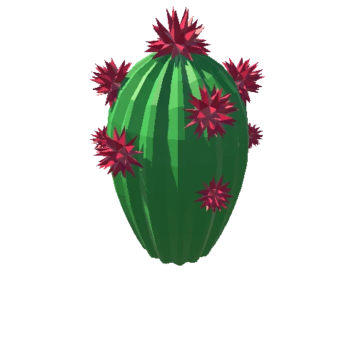 Cactus_Little_A_07