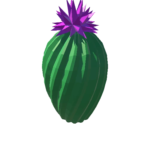 Cactus_Little_A_09