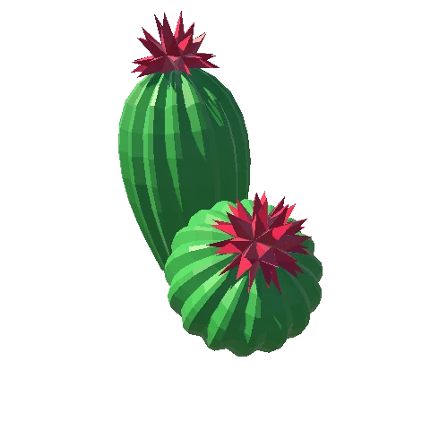 Cactus_Little_A_10