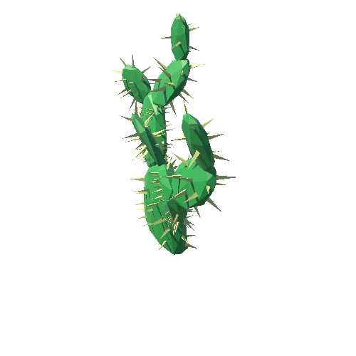 Cactus_Other_A_01