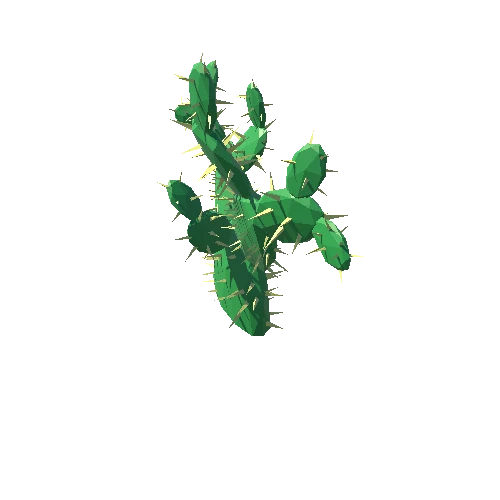 Cactus_Other_A_02