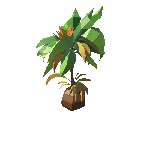 Palm-Tree_A_10