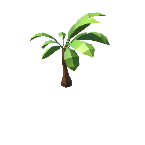Palm-Tree_A_20