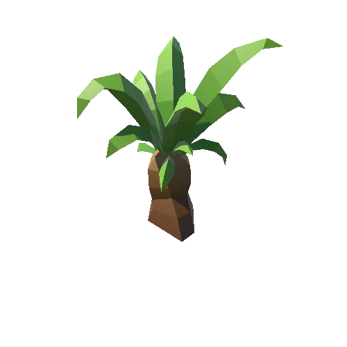 Palm-Tree_A_21