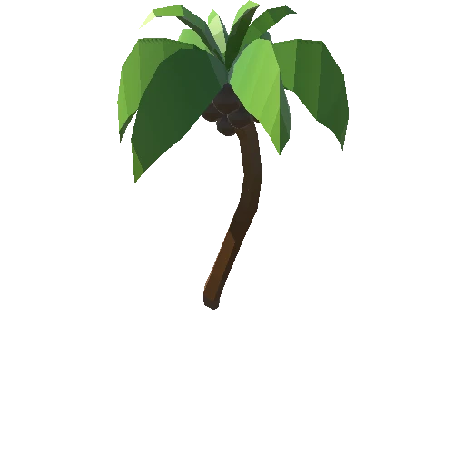 Palm-Tree_B_02