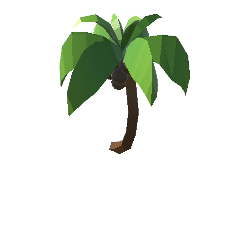 Palm-Tree_B_06