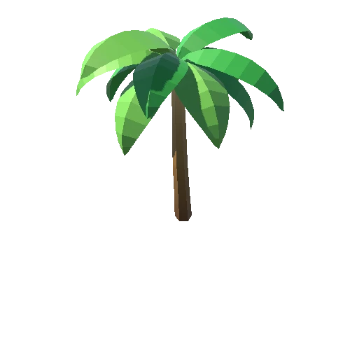 Palm-Tree_C_03