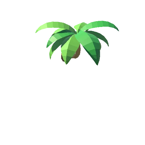 Palm-Tree_C_04