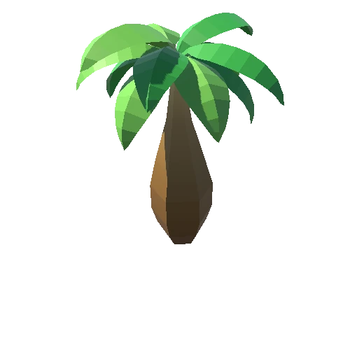 Palm-Tree_C_05