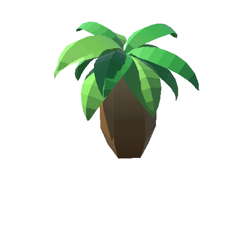 Palm-Tree_C_06