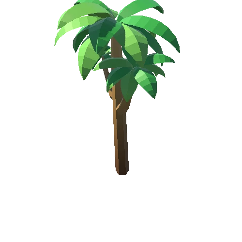Palm-Tree_C_08