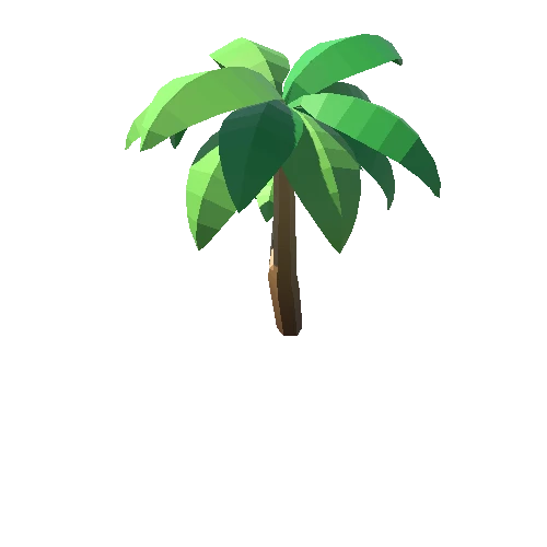 Palm-Tree_C_09