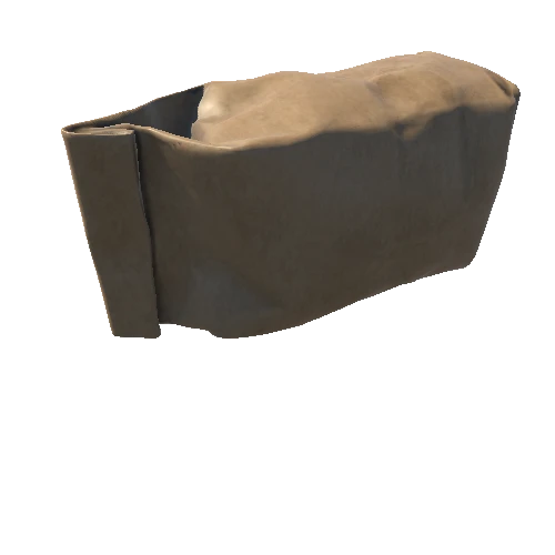 913215+paper_bag