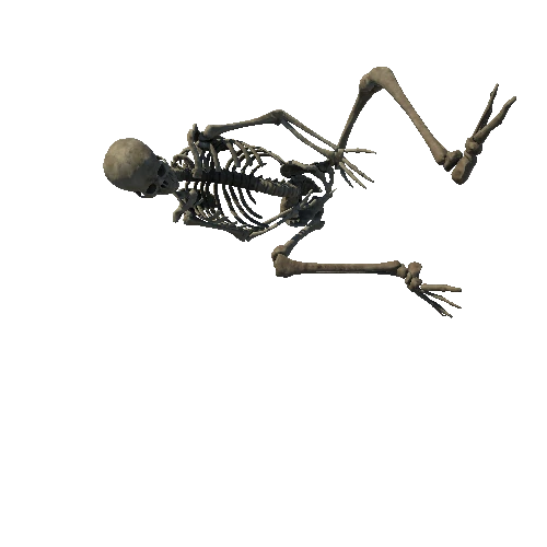 SM_Skeleton_Pose_01_LOD1