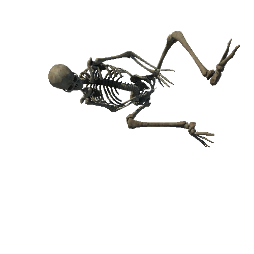 SM_Skeleton_Pose_01_LOD2